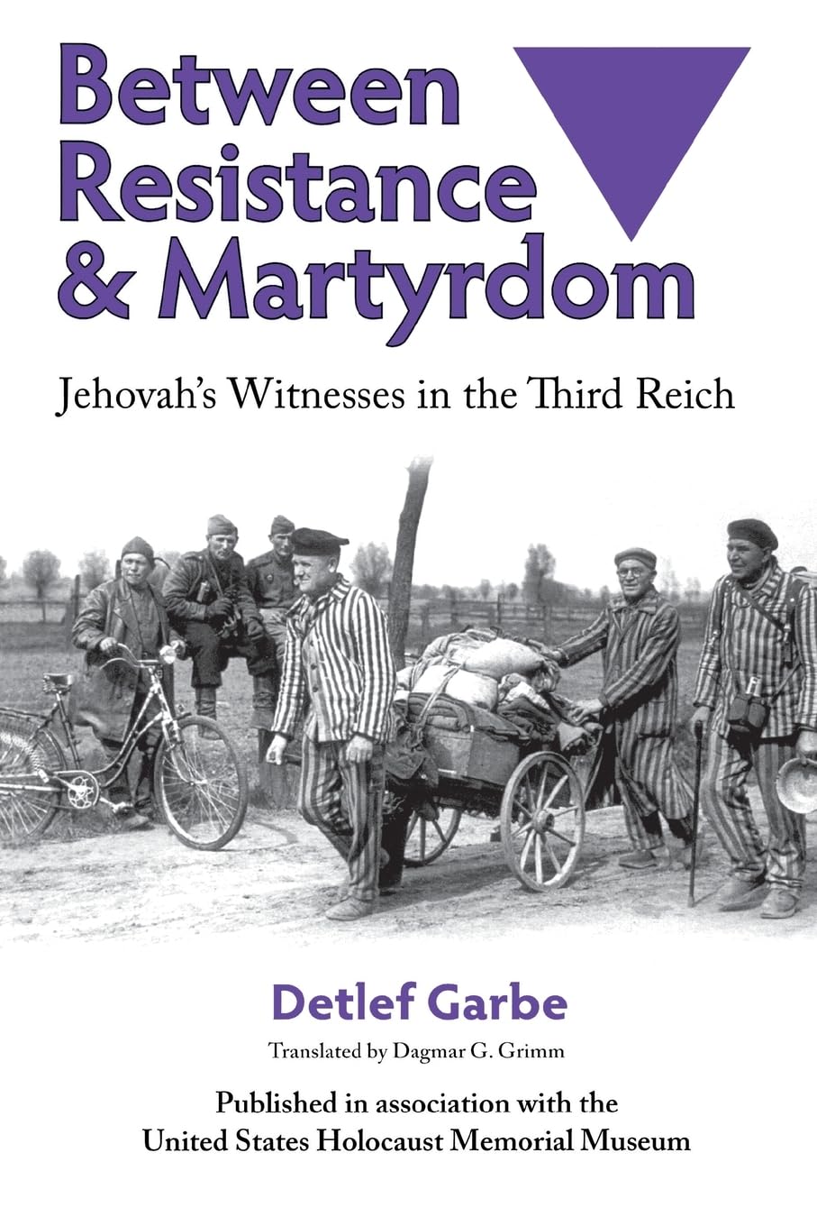 Between Resistance and Martyrdom: Jehovah's Witnesses in the Third Reich book
