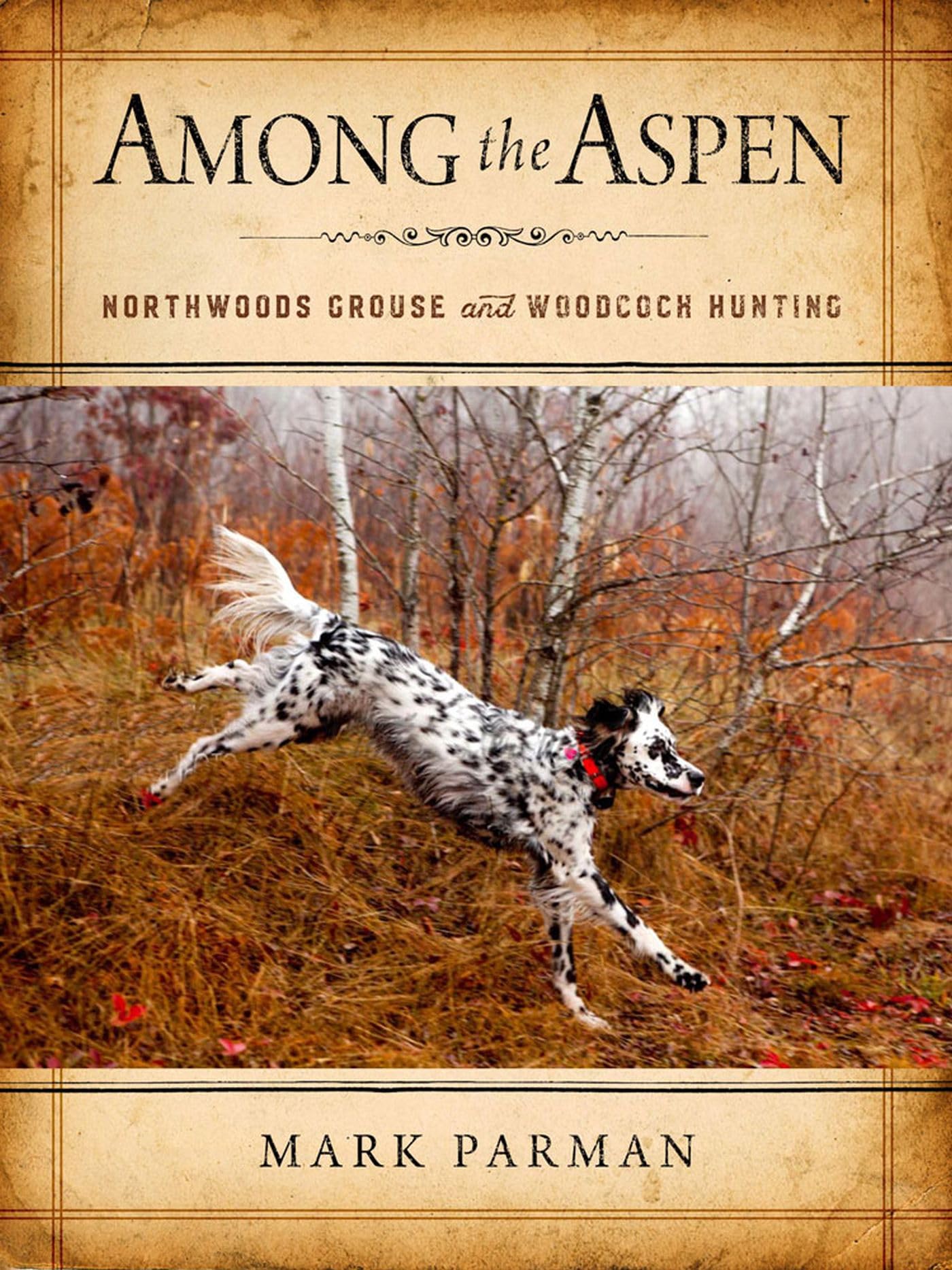 Among the Aspen: Northwoods Grouse and Woodcock Hunting Mathematics