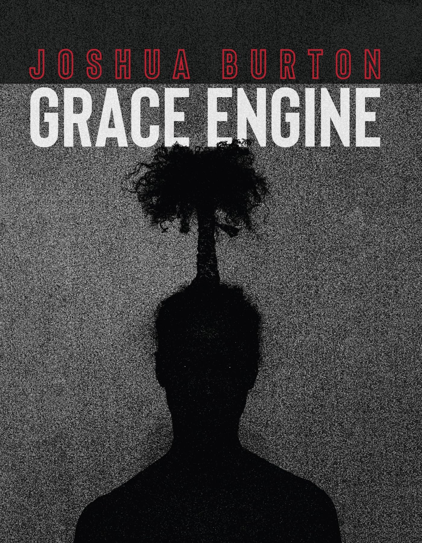 Grace Engine (Wisconsin Poetry) Media & Communication