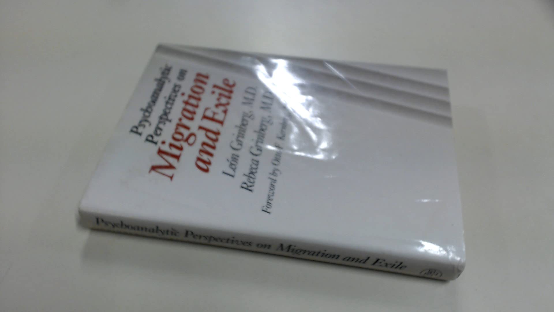 Product Image: Psychoanalytic Perspectives on Migration and Exile