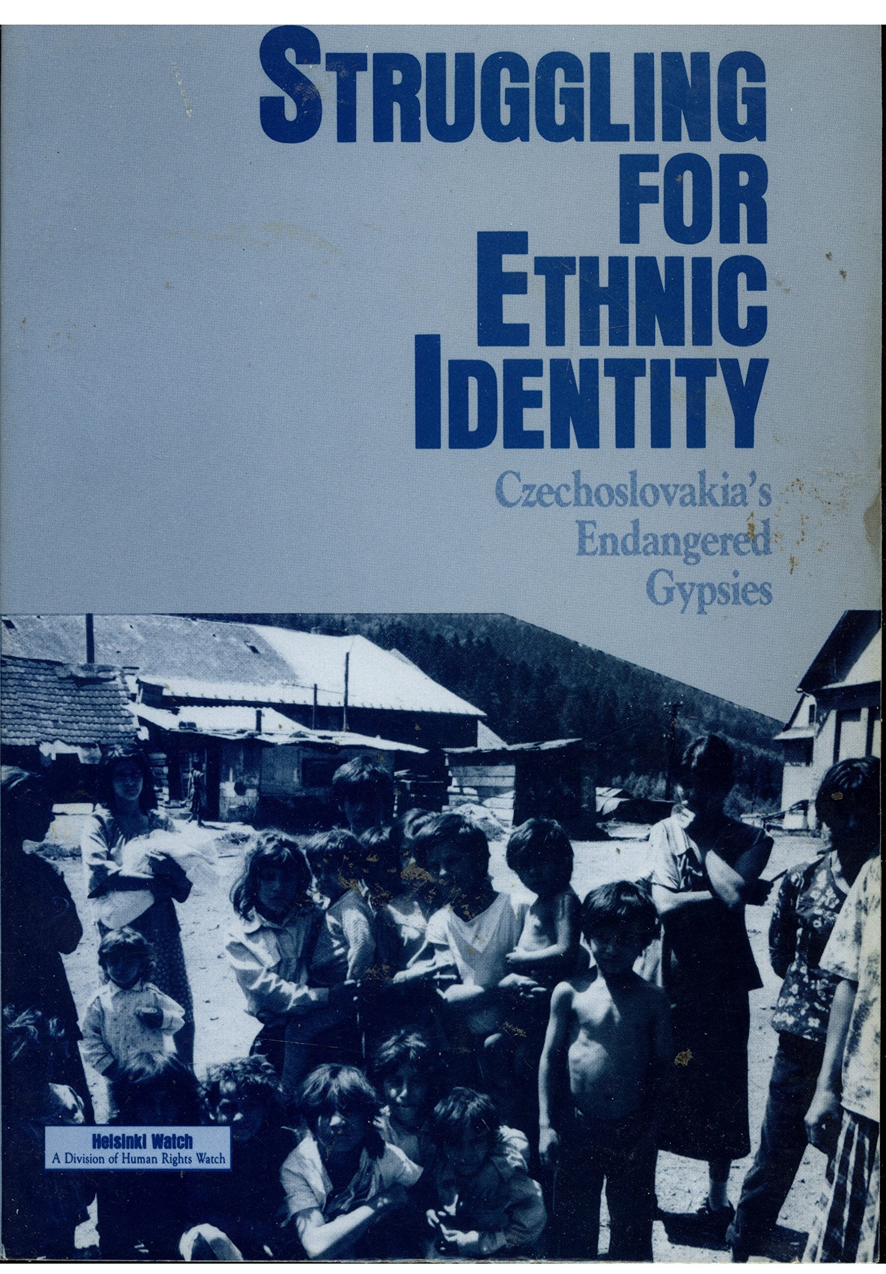Struggling for Ethnic Identity: Czechoslovakia's Endangered Gypsies Social Sciences