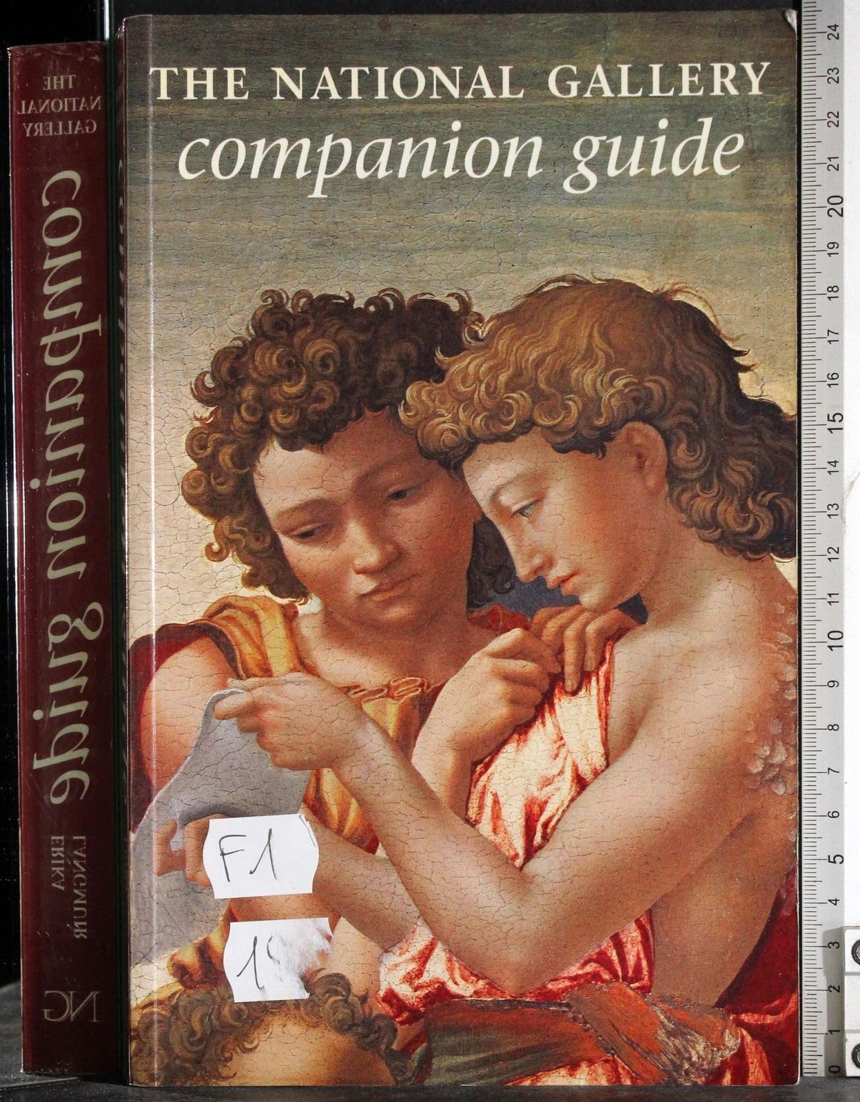 The National Gallery Companion Guide Leisure, Home & Garden