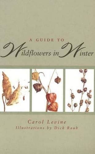 A Guide to Wildflowers in Winter: Herbaceous Plants of Northeastern North America Mathematics