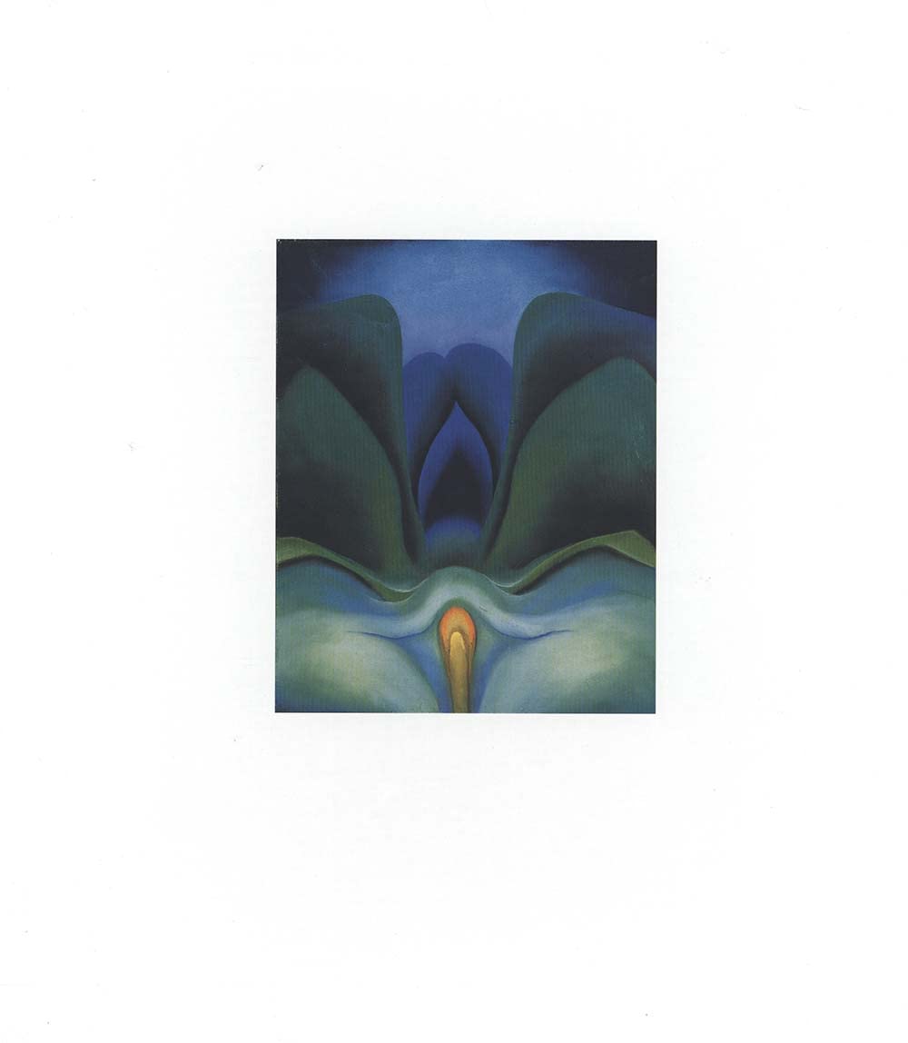 Georgia O'Keeffe: Catalogue Raisonn Film, Art & Culture