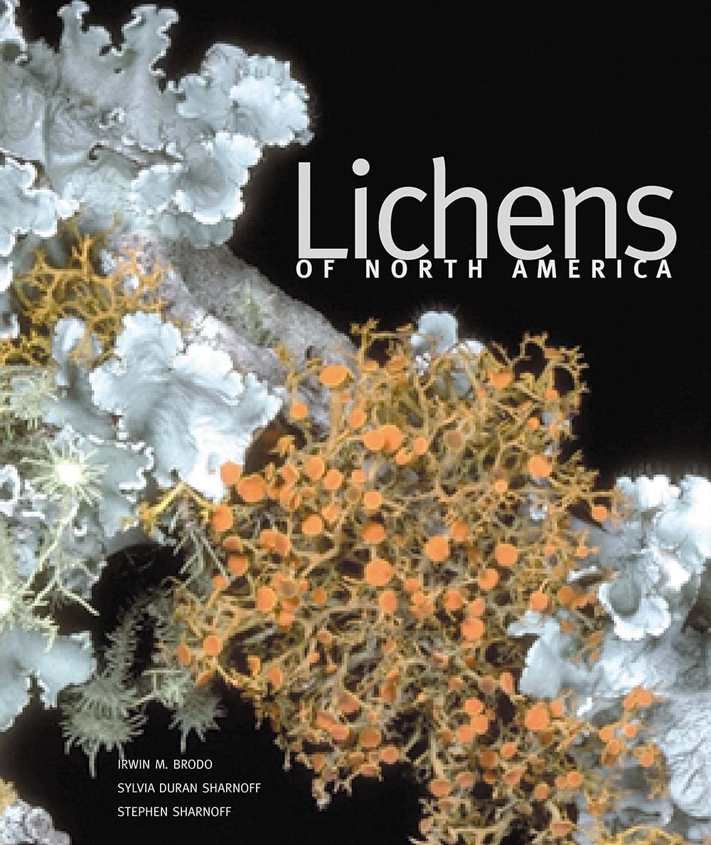 Lichens of North America Mathematics