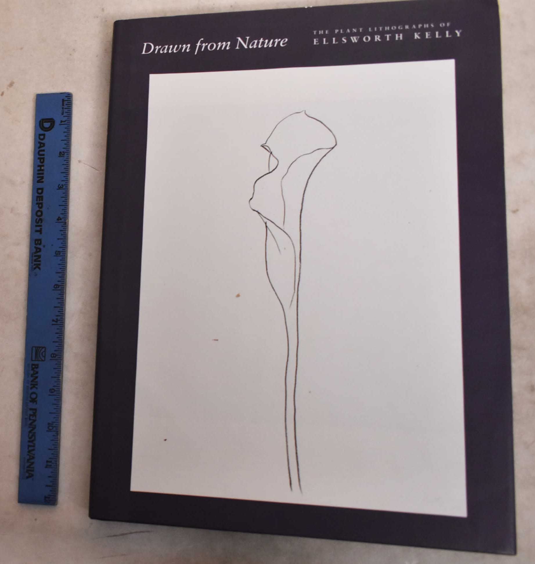 Drawn From Nature: The Plant Lithographs Of Ellsworth Kelly Film, Art & Culture
