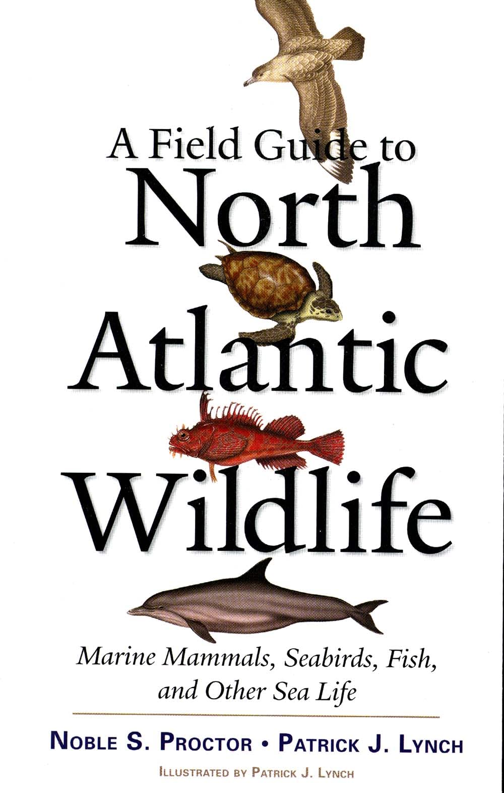 A Field Guide To North Atlantic Wildlife: Marine Mammals, Seabirds, Fish, And Other Sea Life book