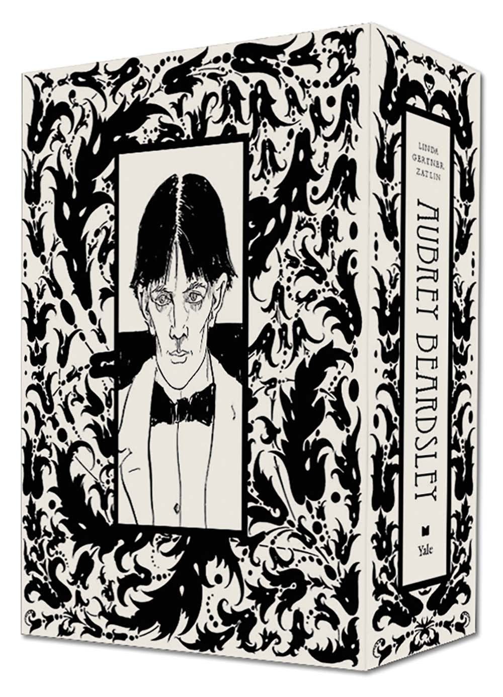 Aubrey Beardsley - A Catalogue Raisonné - 2 Volume Box Set; .: A Catalogue Raisonne (The Association of Human Rights Institutes series) Film, Art & Culture