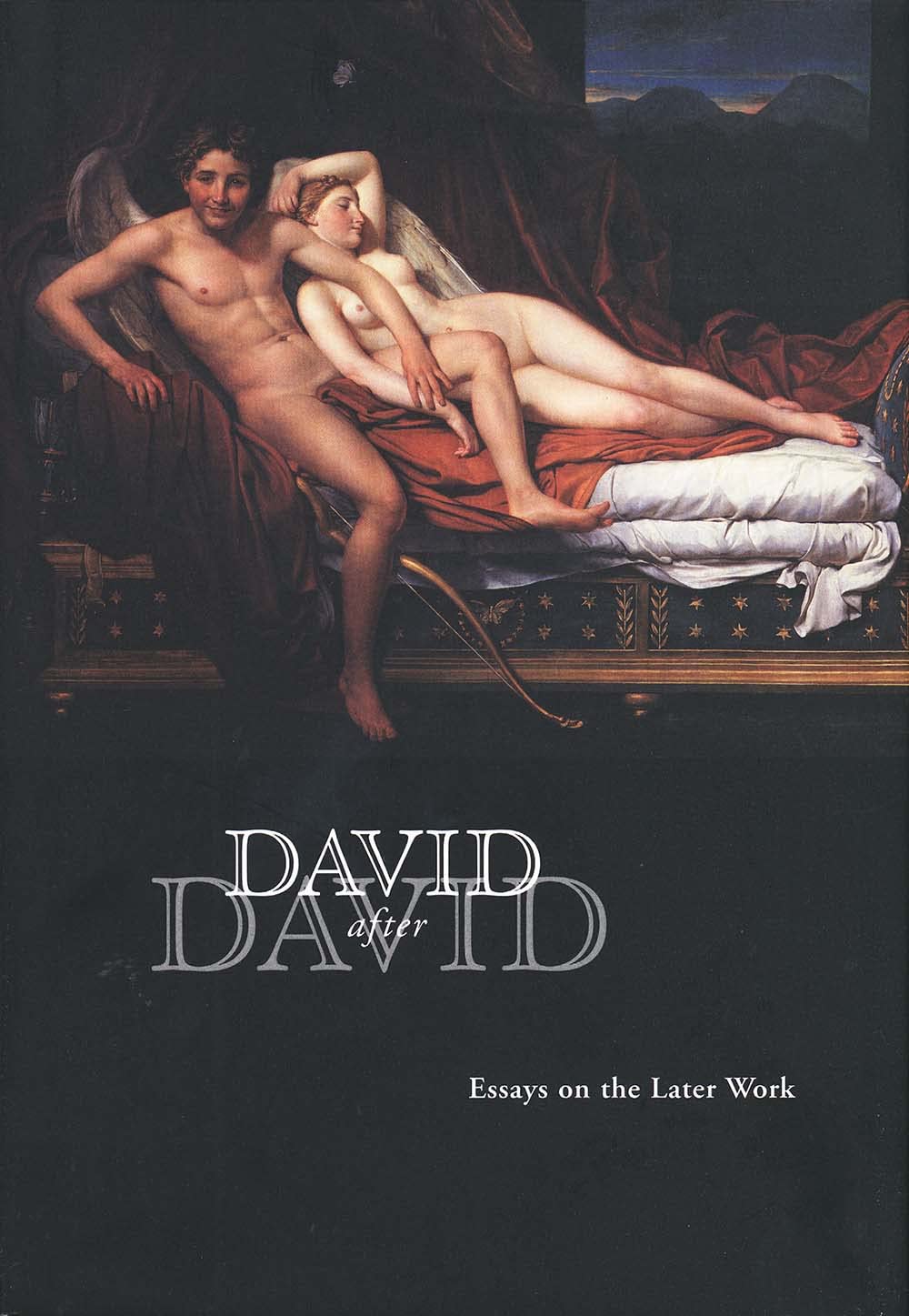 David After David: Essays on the Later Work (Clark Art Institute Series (YUP)) Art & Literature