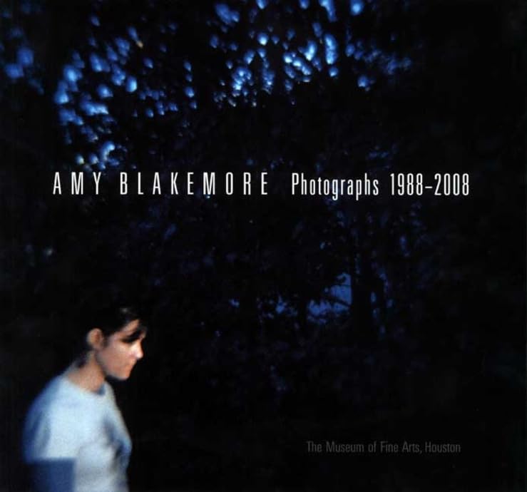 Amy Blakemore: Photographs 1988-2008 (Elgar New Horizons in Business Analytics series) Travel