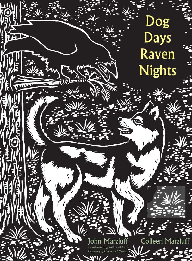 Dog Days, Raven Nights book