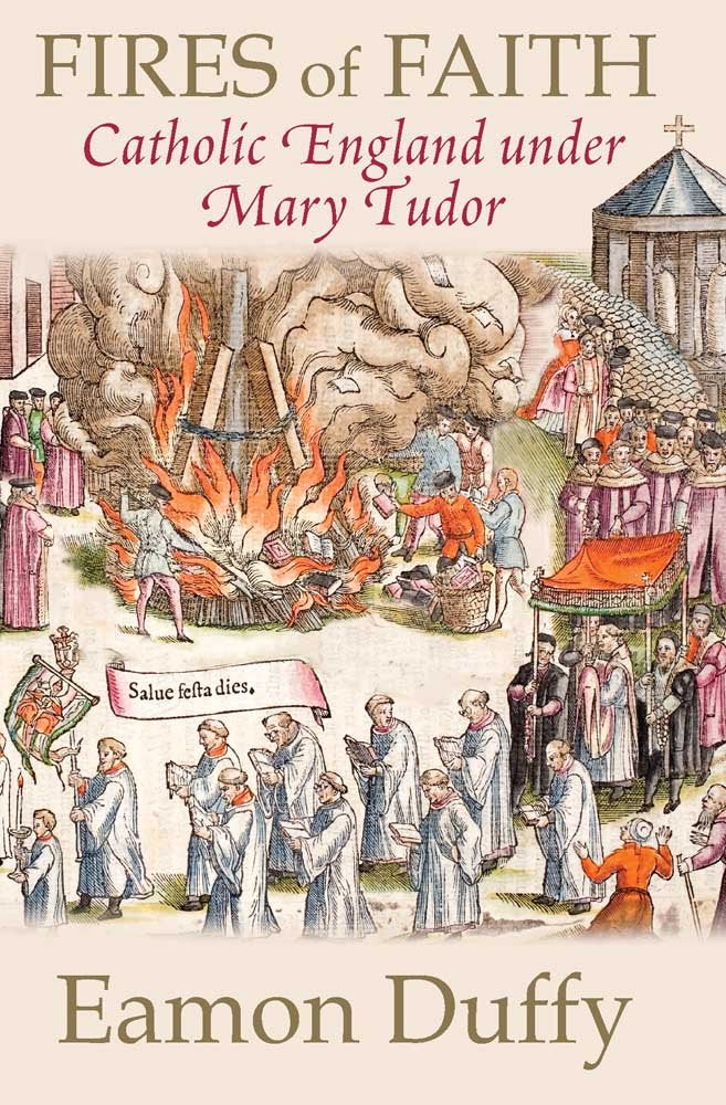 Fires of Faith Politics & History books