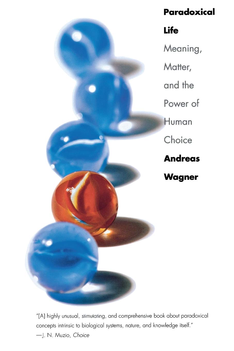 Paradoxical Life: Meaning, Matter, and the Power of Human Choice Philosophy