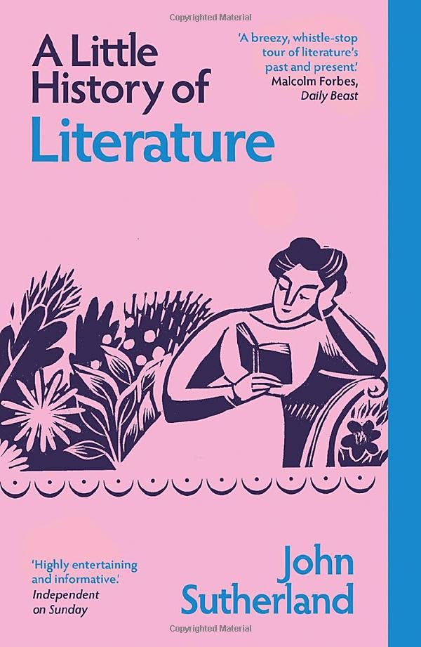 A Little History of Literature book