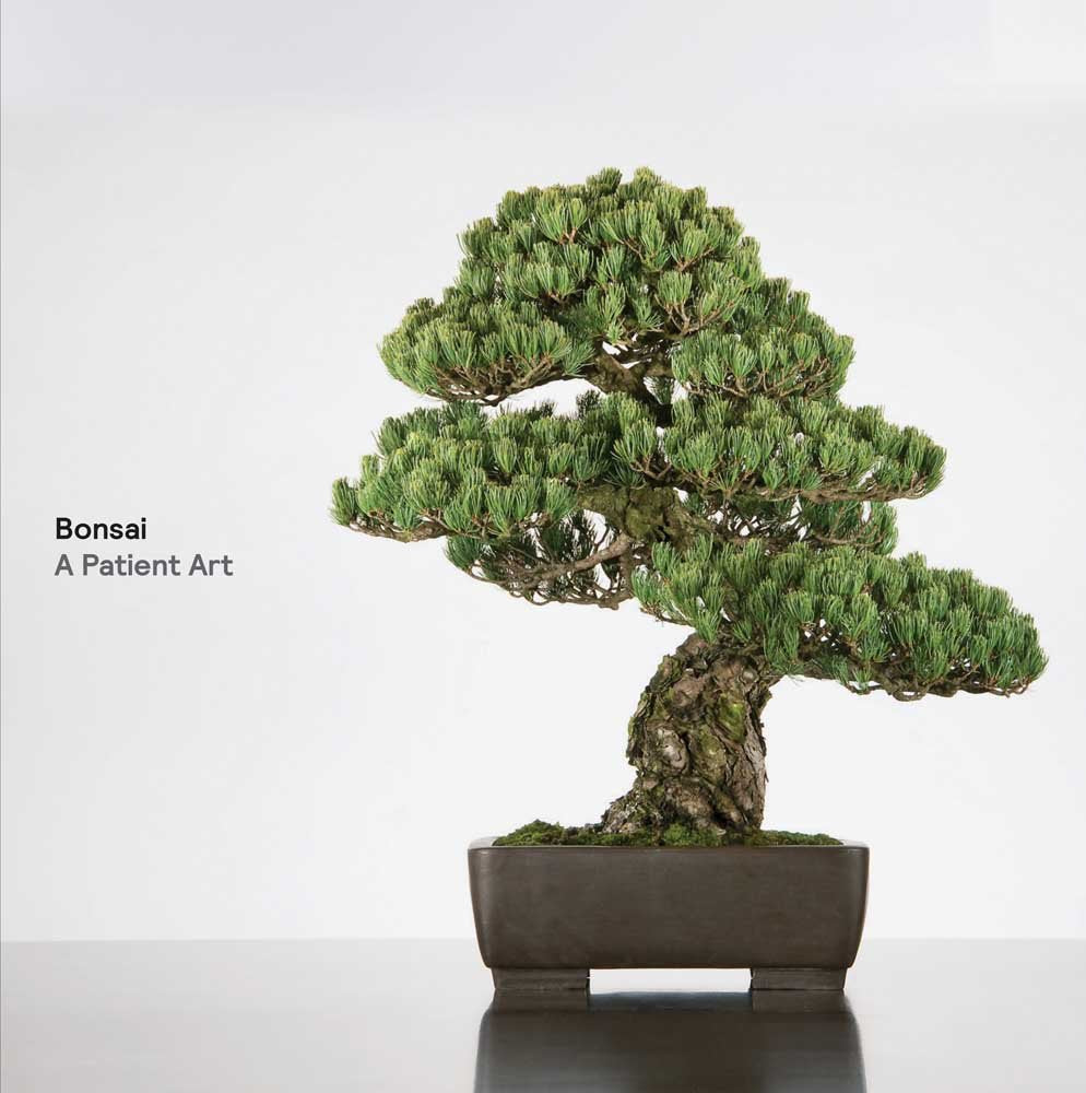 Bonsai: A Patient Art Nature & Animals