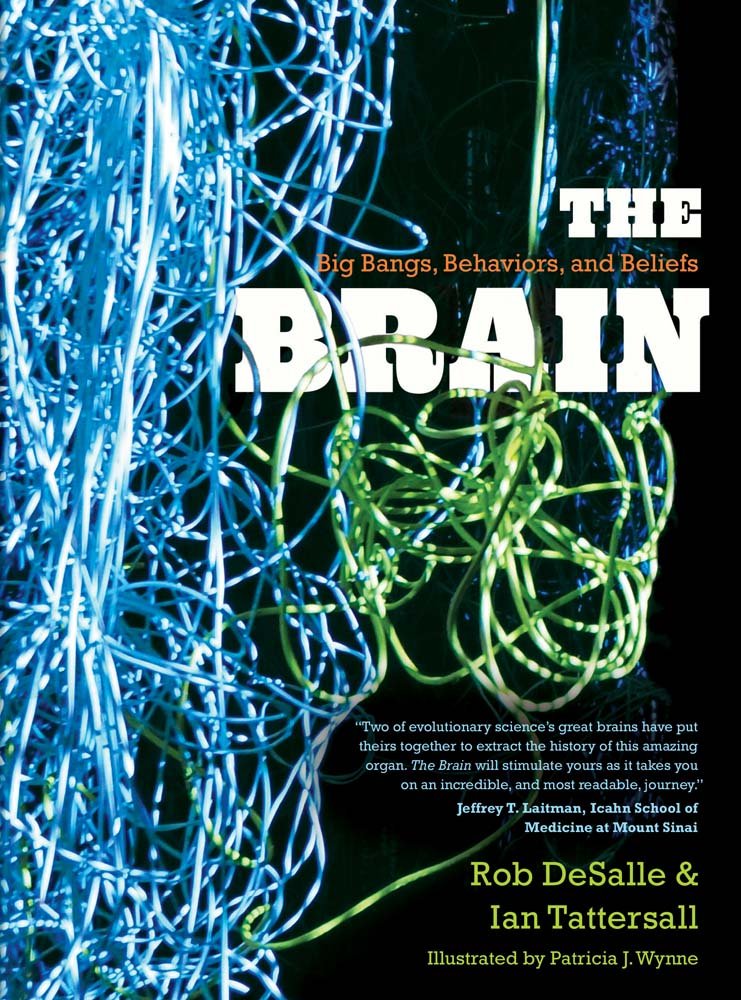 The Brain - Big Bangs, Behaviors and Beliefs; .: Big Bangs, Behaviors, and Beliefs Medicine