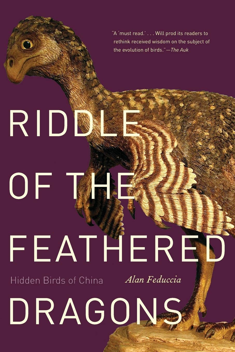 Riddle of the Feathered Dragons: Hidden Birds of China Mathematics