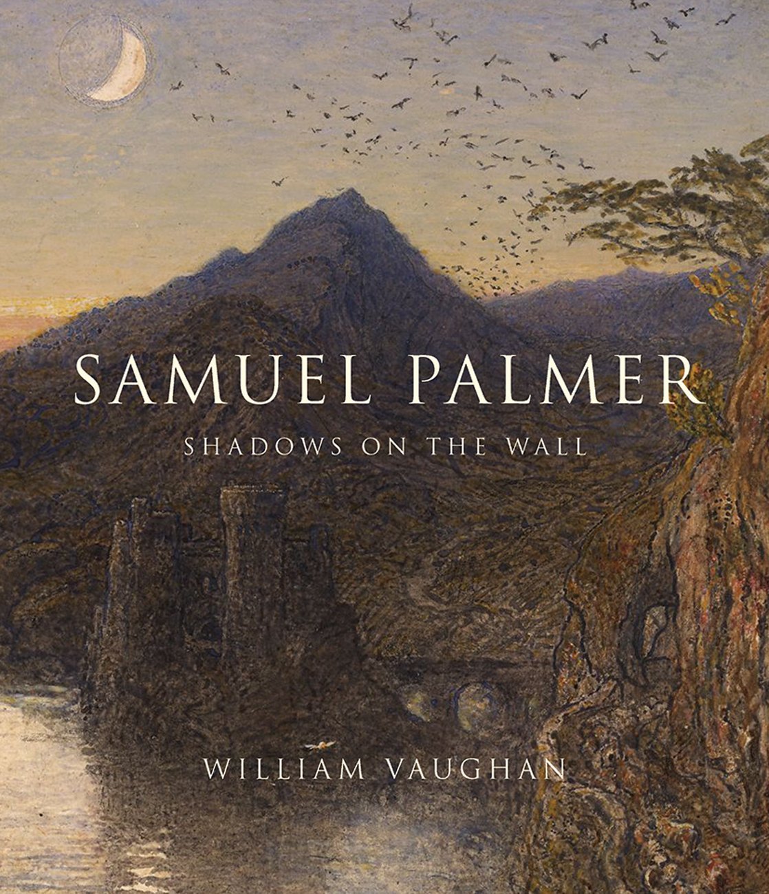 Samuel Palmer: Shadows on the Wall (The Association of Human Rights Institutes series) Film, Art & Culture