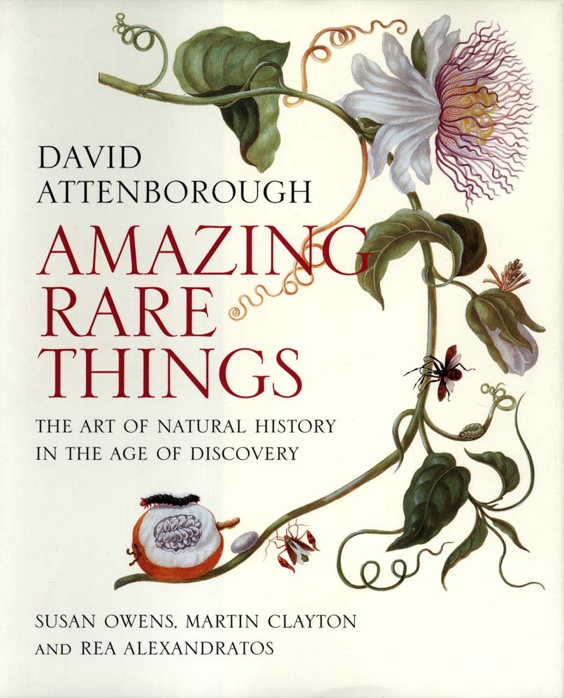 Amazing Rare Things: The Art of Natural History in the Age of Discovery Mathematics