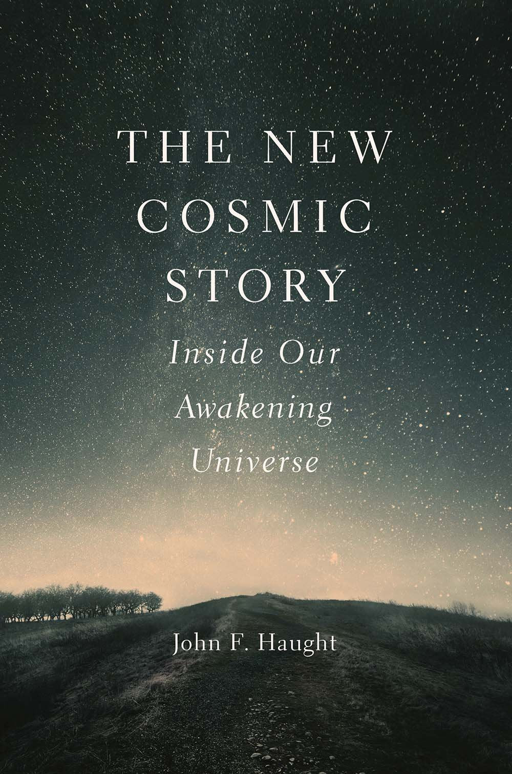 The New Cosmic Story: Inside Our Awakening Universe book