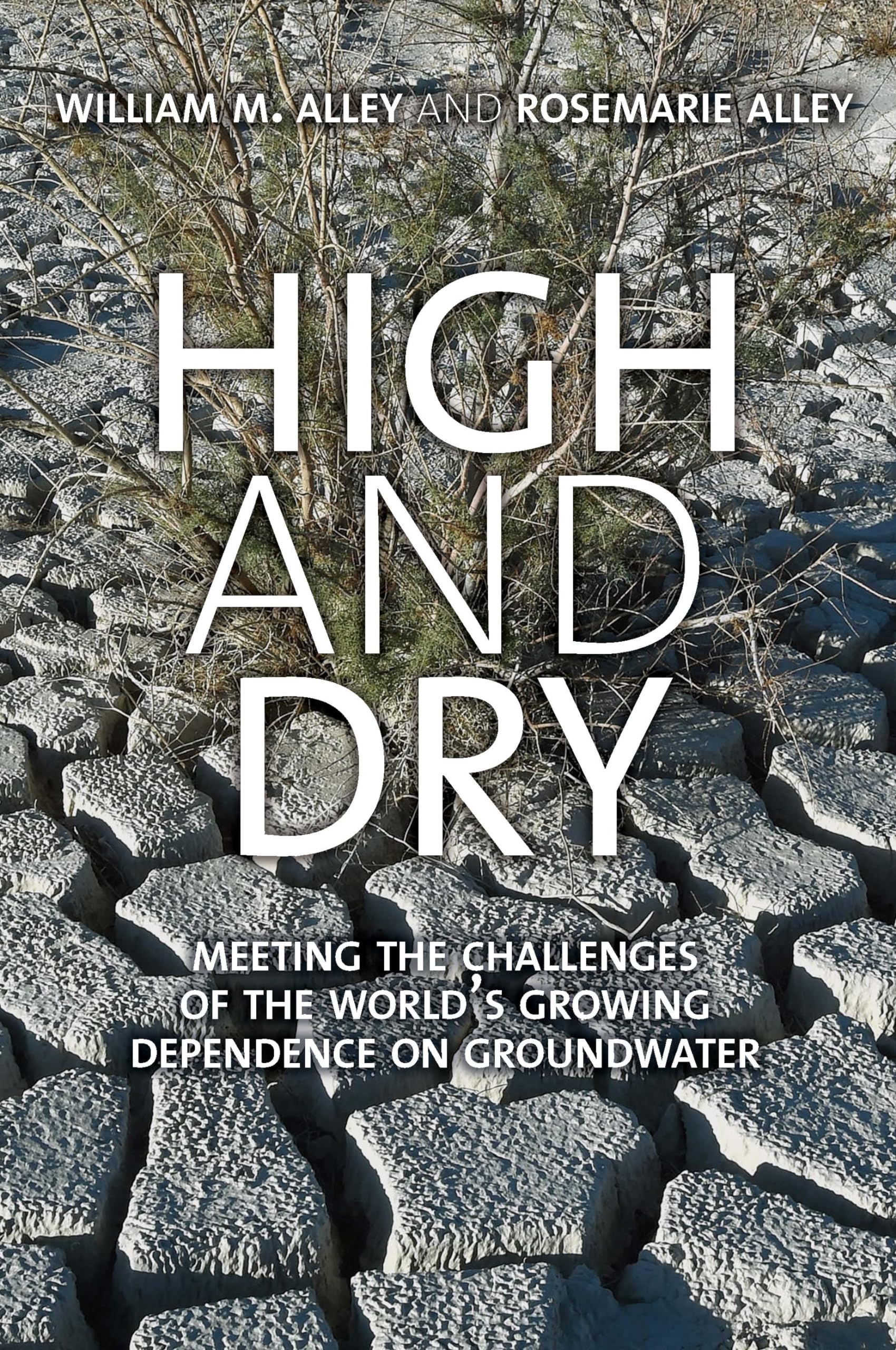 High and Dry: Meeting the Challenges of the World's Growing Dependence on Groundwater Business & Technology