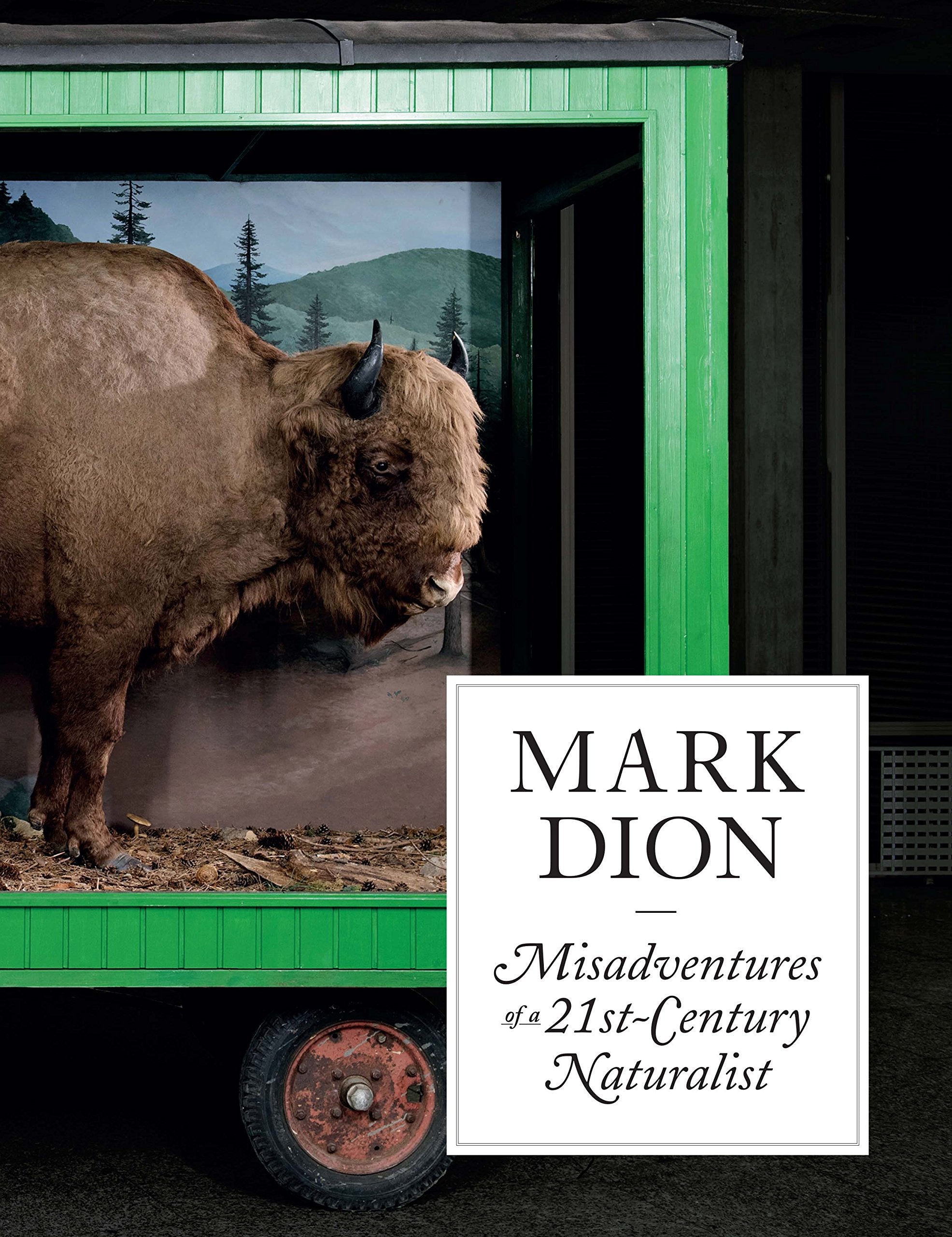 Mark Dion: Misadventures of a 21st-Century Naturalist Film, Art & Culture