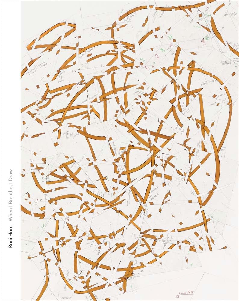 Roni Horn: When I Breathe, I Draw (Menil Drawing Institute) Social Sciences