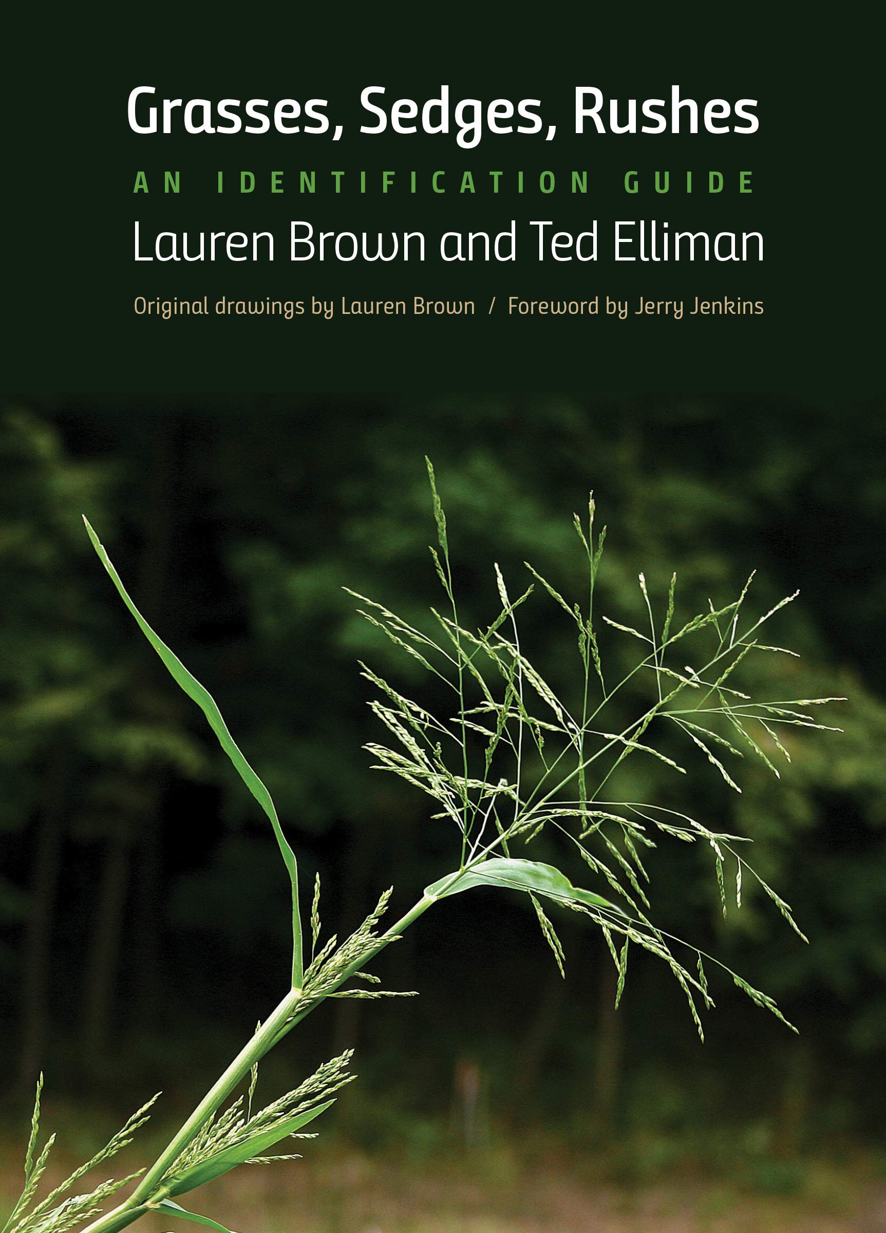 Grasses, Sedges, Rushes: An Identification Guide Mathematics