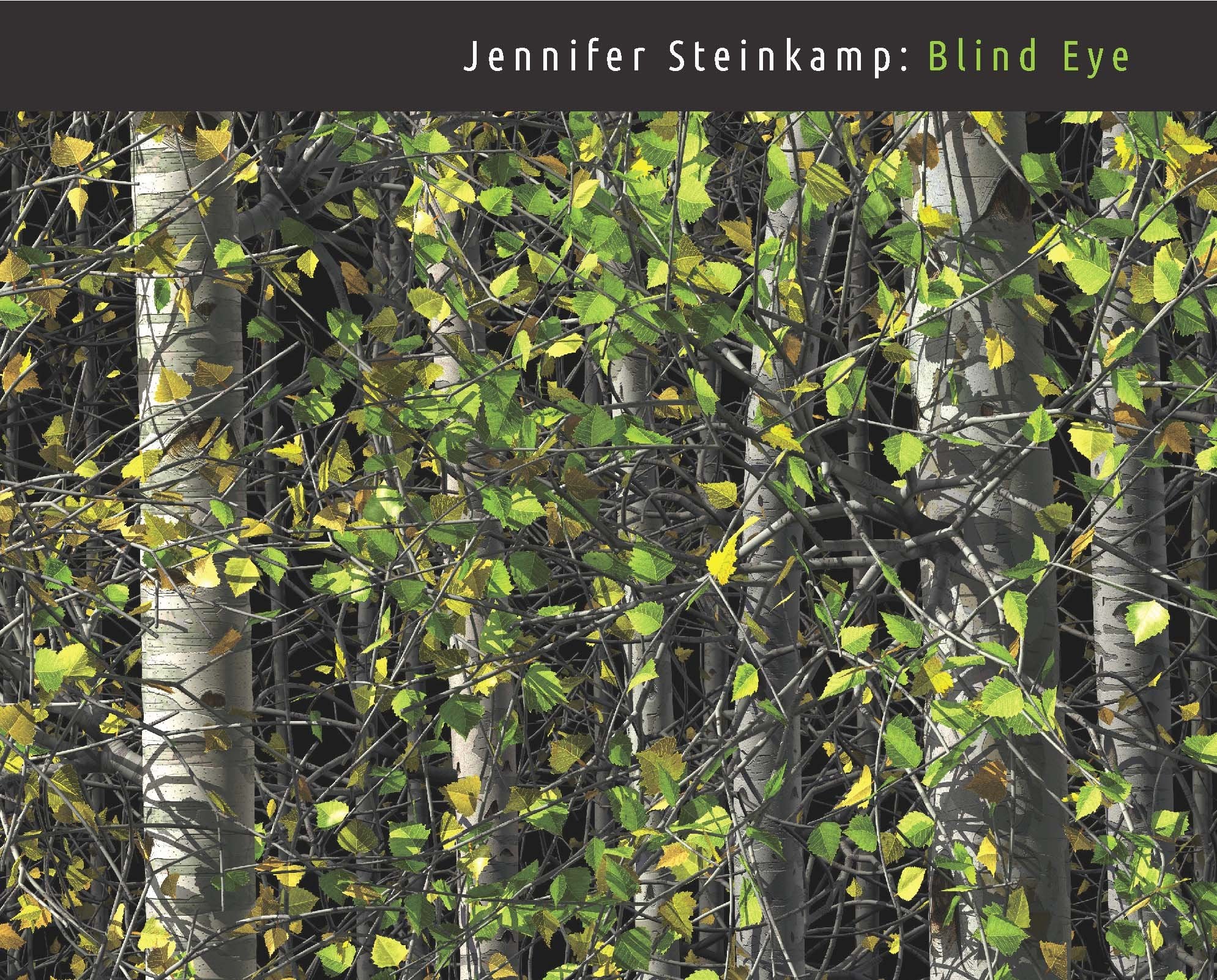 Jennifer Steinkamp: Blind Eye (Clark Art Institute Series (YUP)) Art & Literature