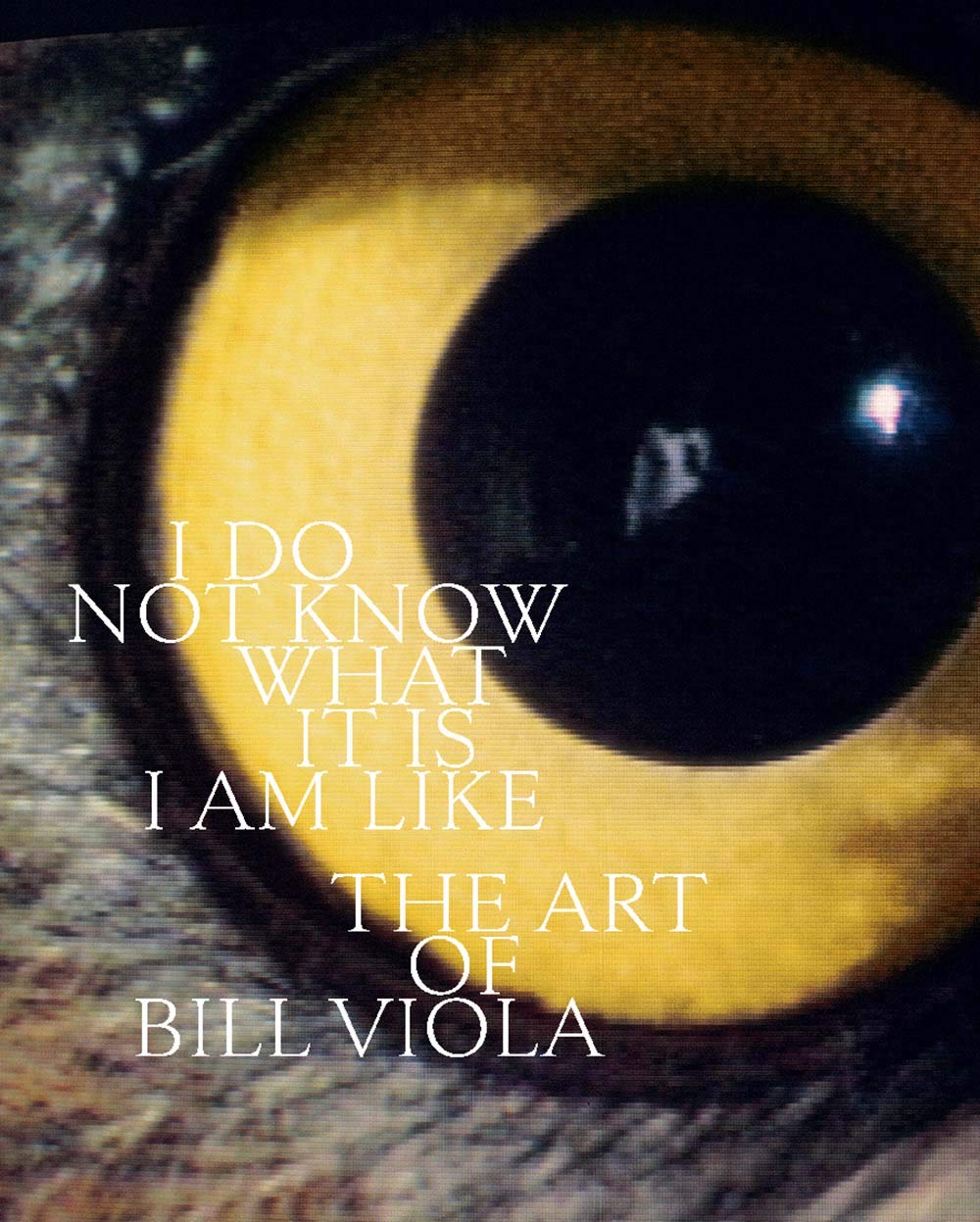 I Do Not Know What It Is I Am Like: The Art of Bill Viola Photography
