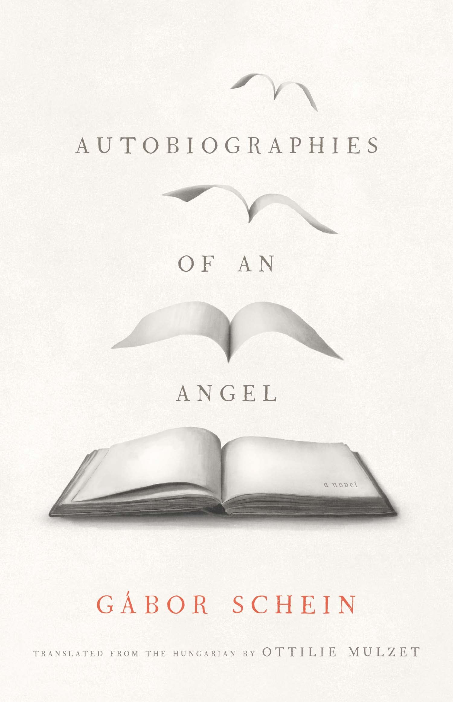 Autobiographies of an Angel Contemporary literature