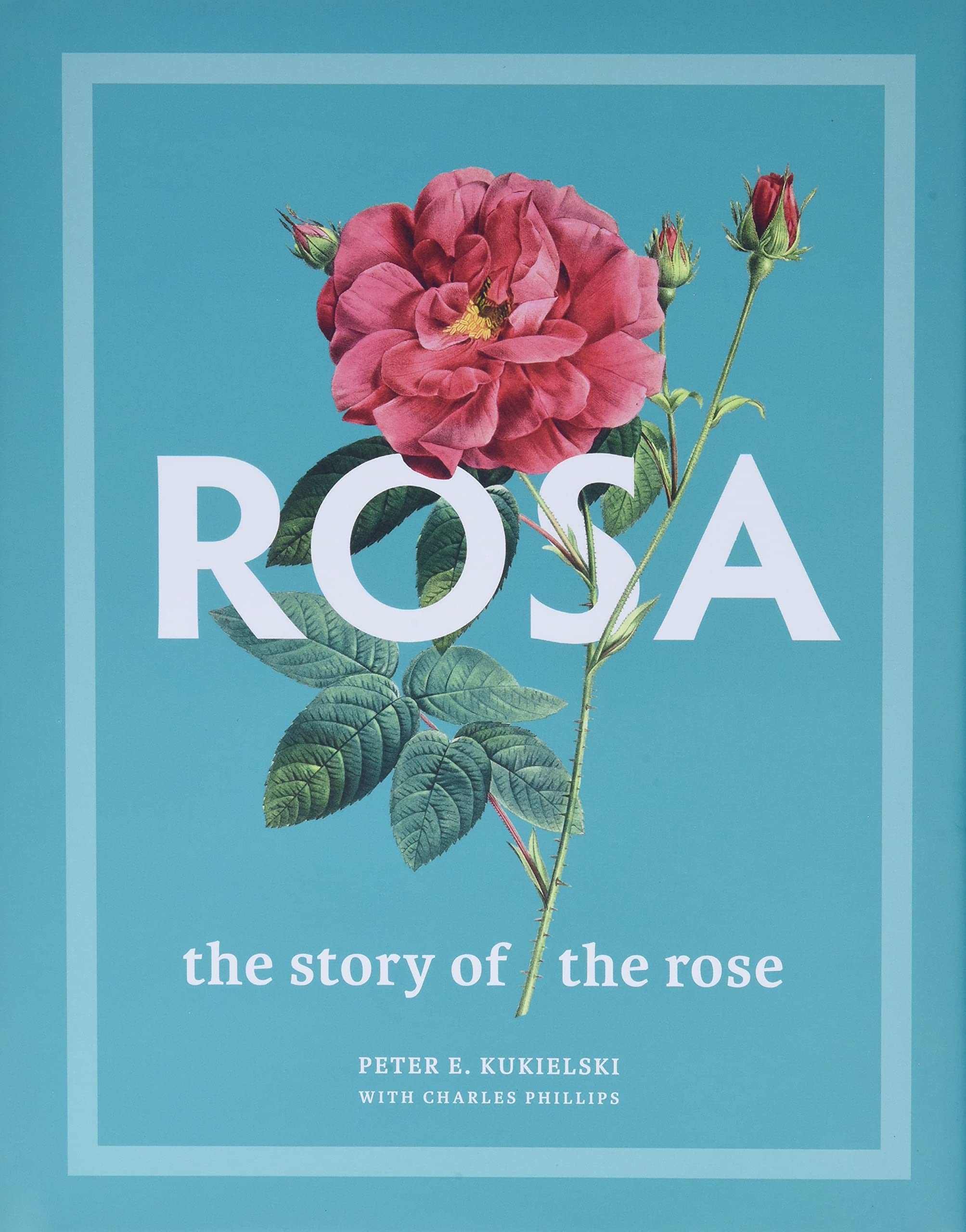 Rosa: The Story of the Rose book
