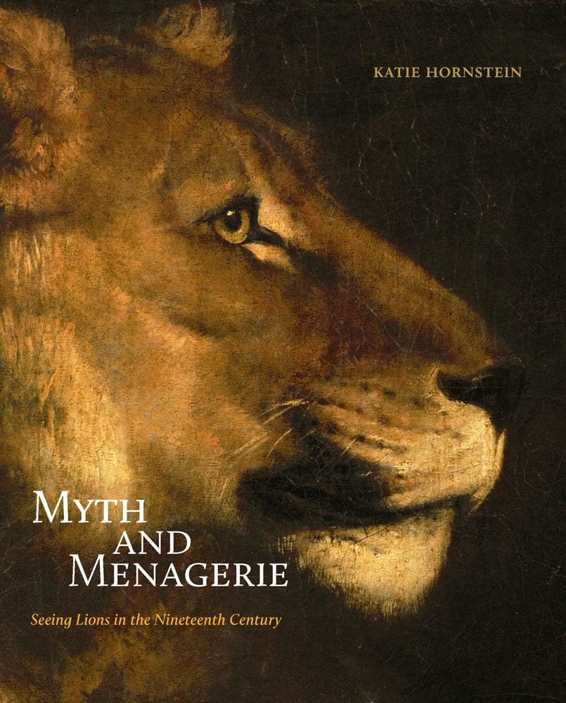 Myth and Menagerie: Seeing Lions in the Nineteenth Century Mathematics