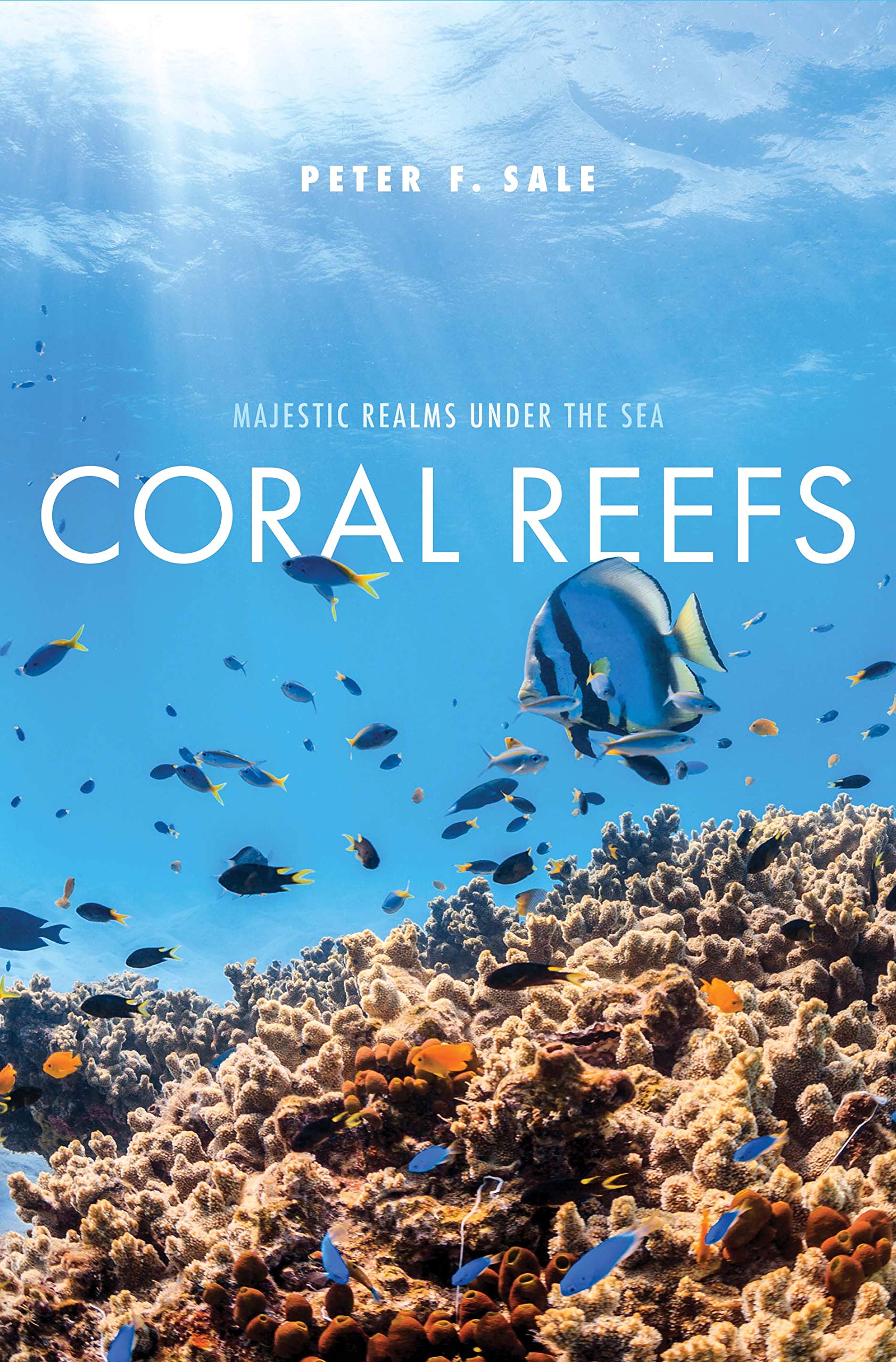 Coral Reefs: Majestic Realms Under the Sea Geology & Geography