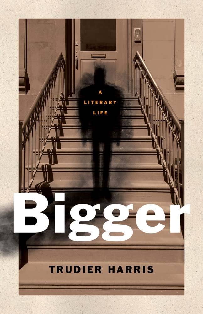 Bigger: A Literary Life (Black Lives) Social Sciences