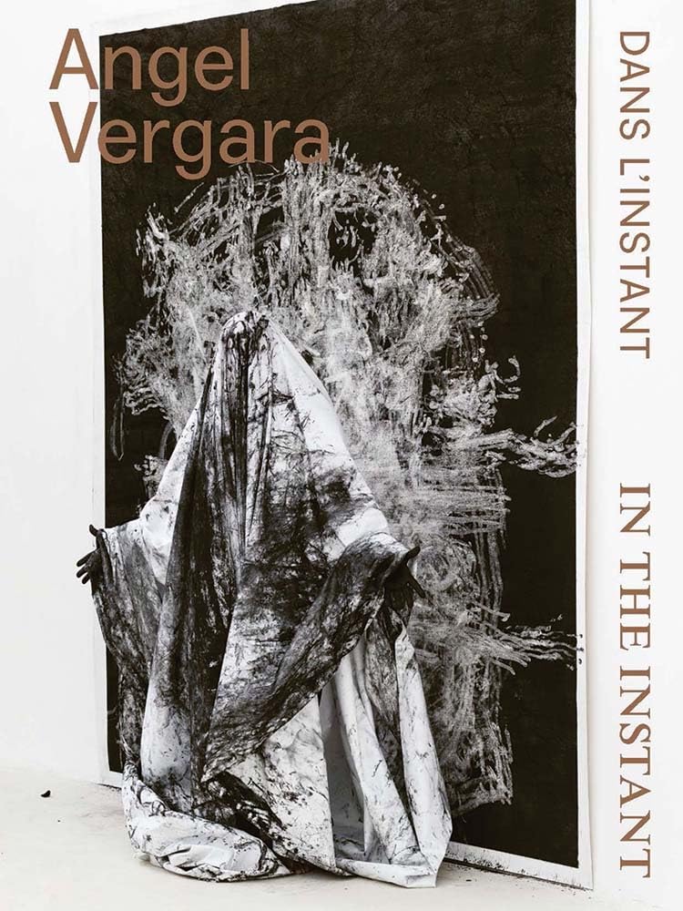 Angel Vergara: Dans L'Instant / In the Instant Film, Art & Culture