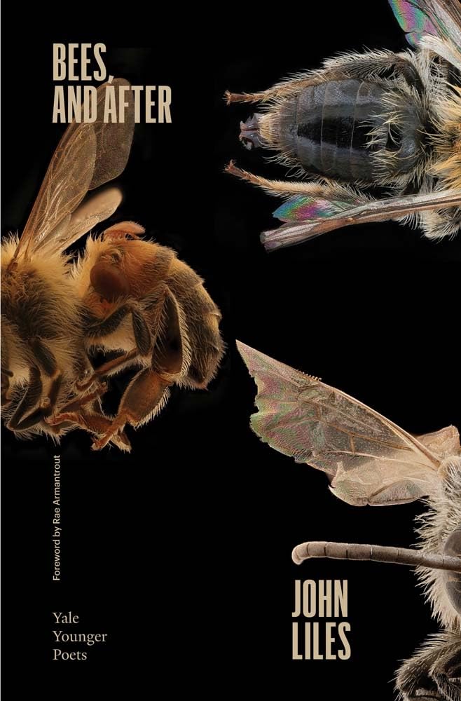 Bees and After: Volume 119 (Yale Series of Younger Poets, 119, Band 119) Poetry