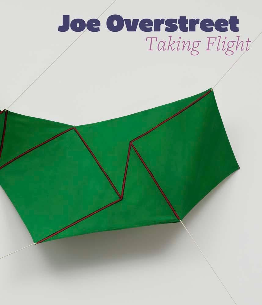 Joe Overstreet: Taking Flight Film, Art & Culture