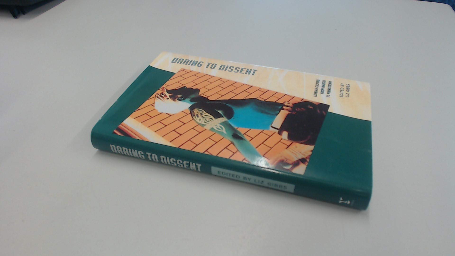 Daring to Dissent: Lesbian Culture from Margin to Mainstream (Women on Women) Media & Communication