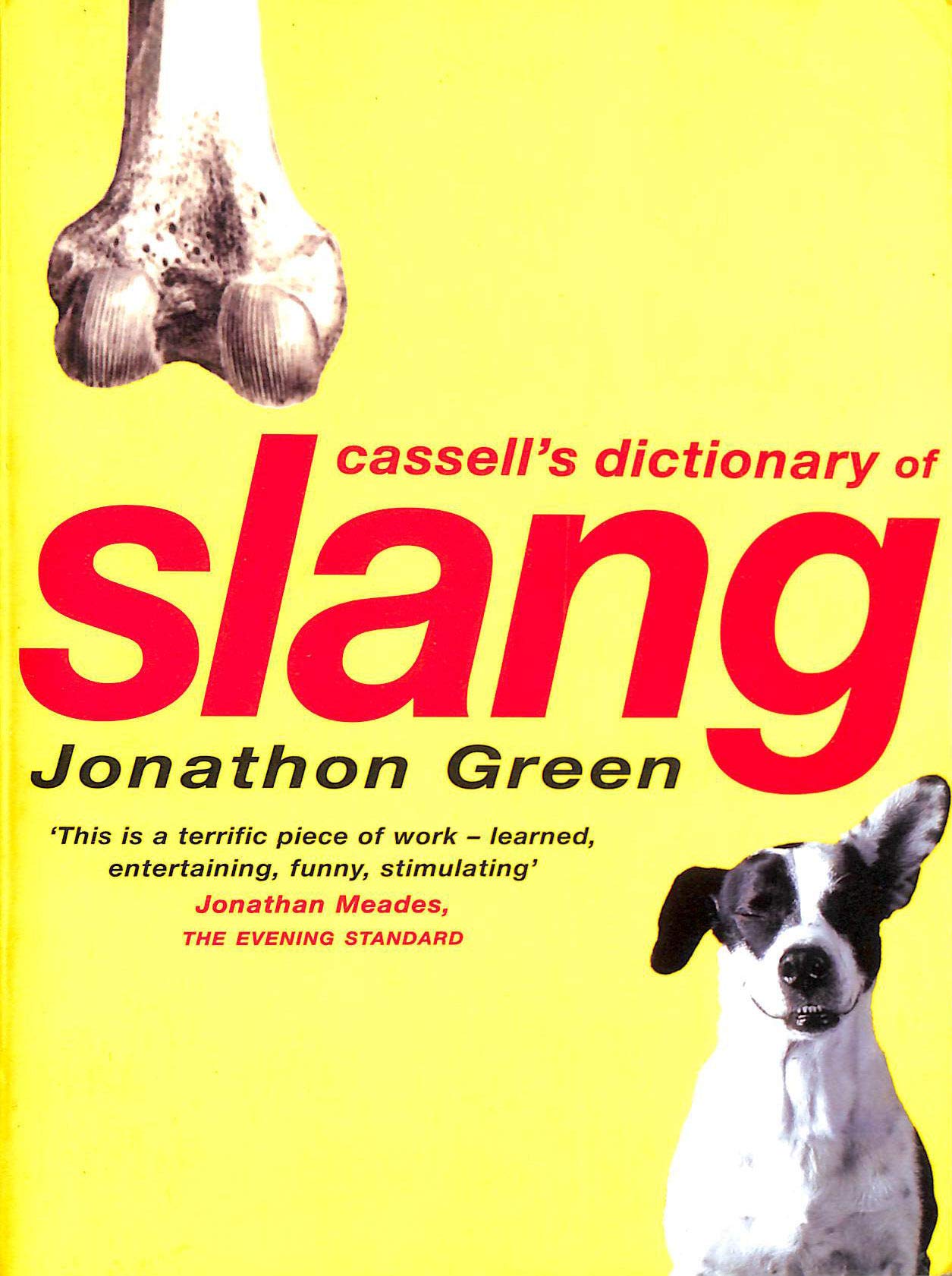 Cassell's Dictionary of Slang book