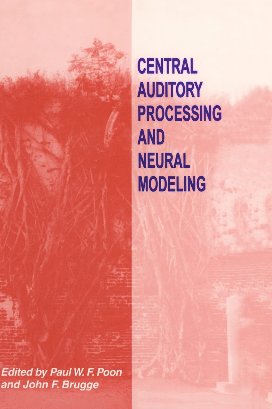 Central Auditory Processing and Neural Modeling: Proceedings of an International Workshop Held in Kaohsiung, Taiwan, January 26-29, 1997 (369) Medicine