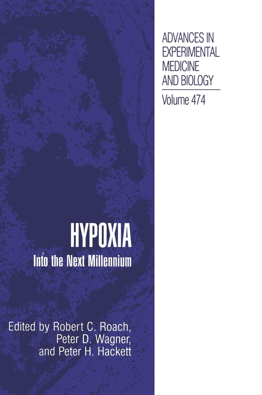 Hypoxia: Into the Next Millennium (Advances in Experimental Medicine and Biology) Medicine