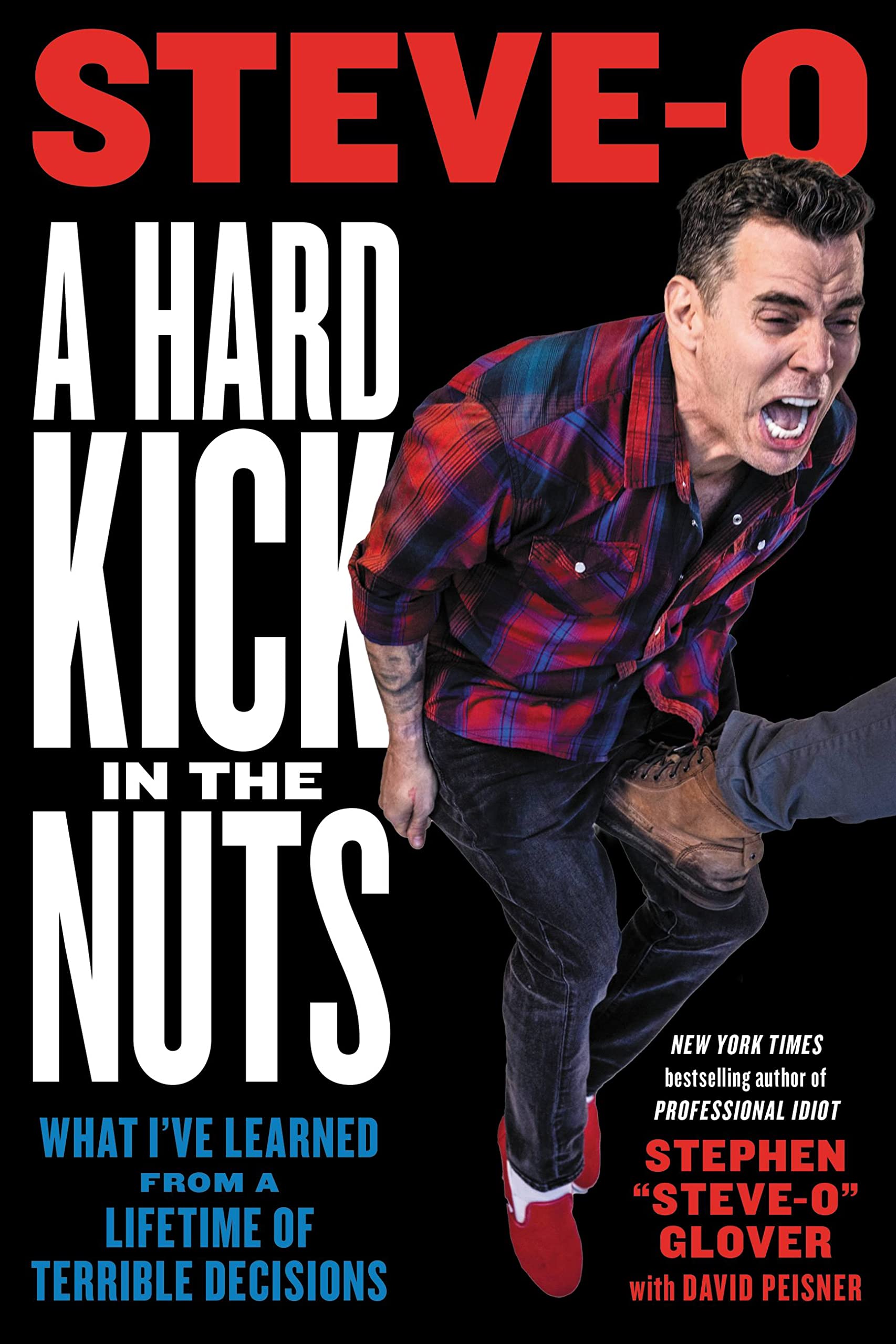 A Hard Kick in the Nuts: What I've Learned from a Lifetime of Terrible Decisions Social Sciences