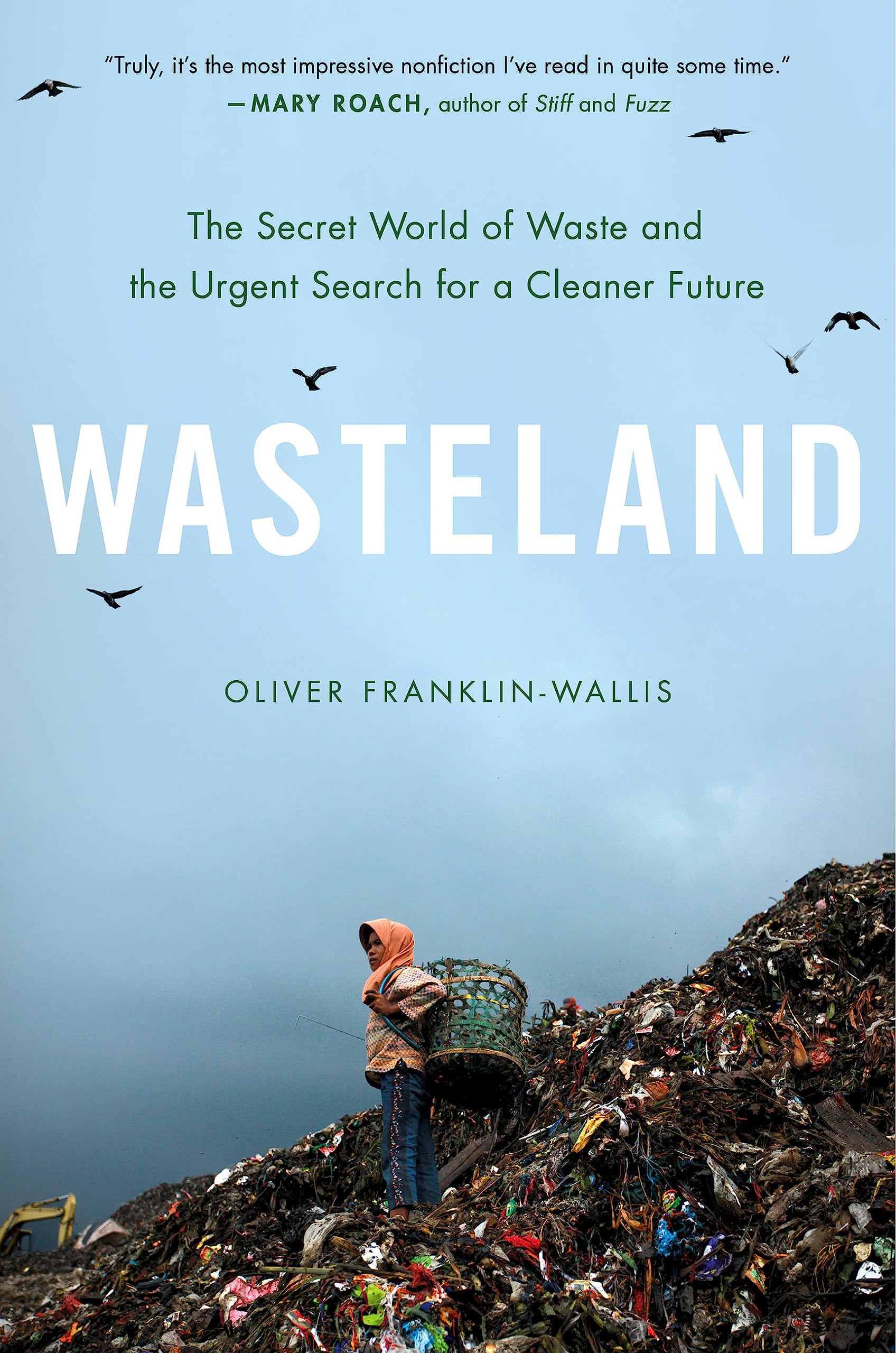 Wasteland: The Secret World of Waste and the Urgent Search for a Cleaner Future Business & Technology