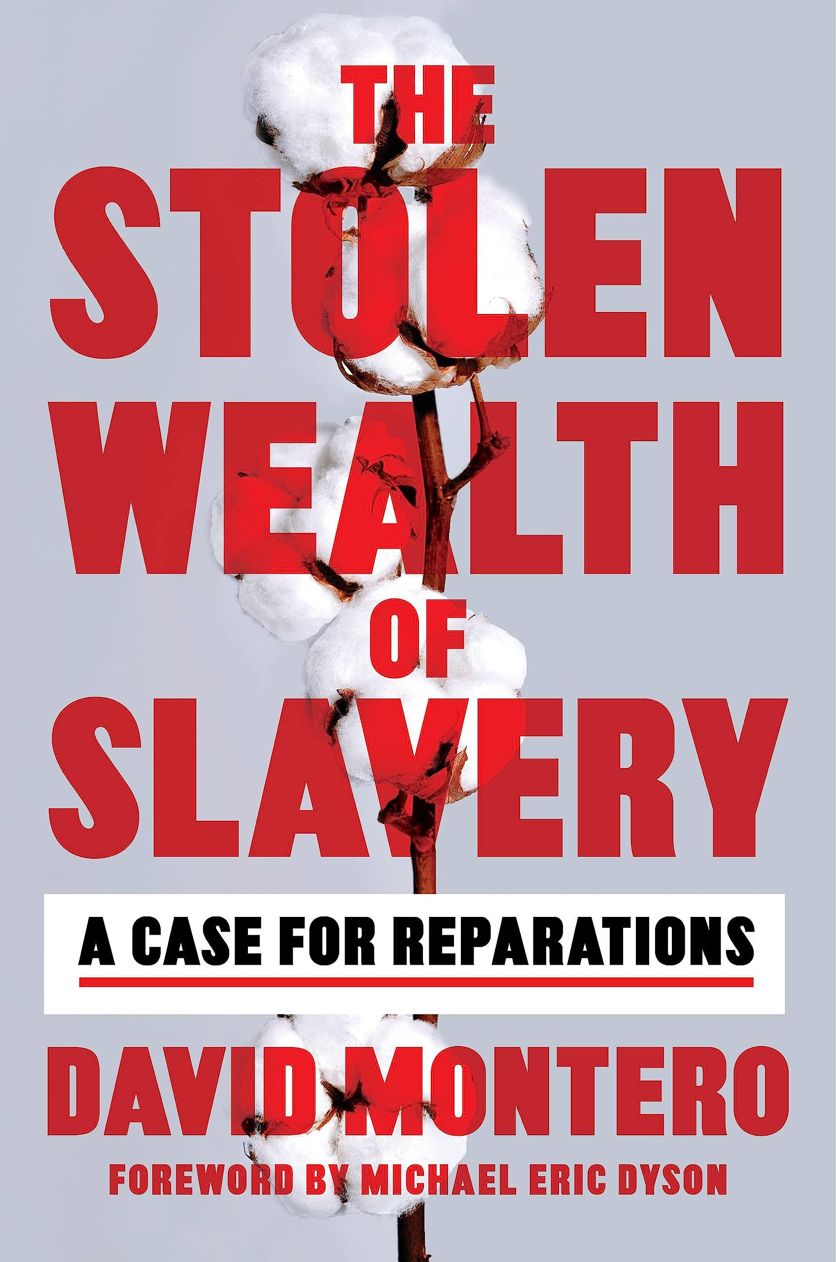 The Stolen Wealth of Slavery Social Sciences