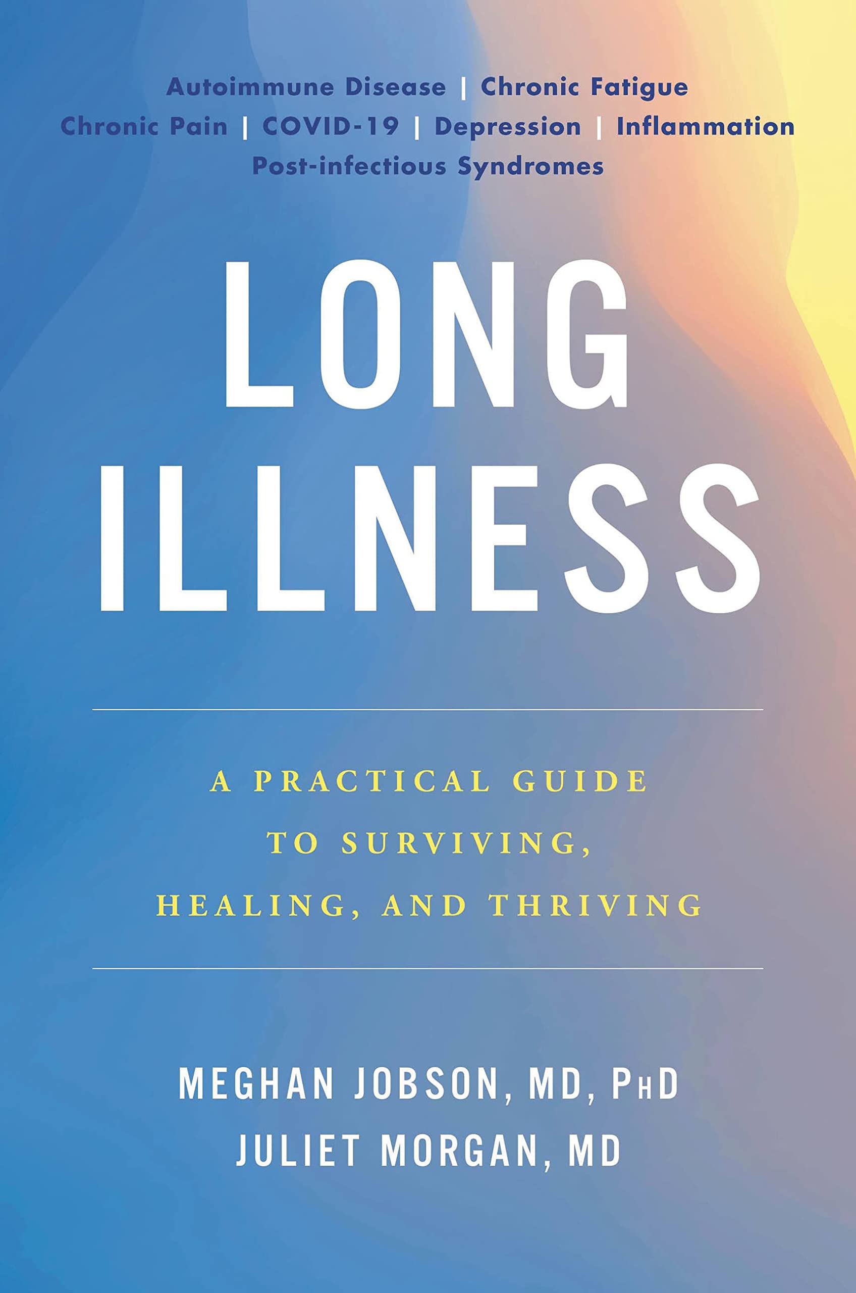 Long Illness: A Practical Guide to Surviving, Healing, and Thriving Medicine