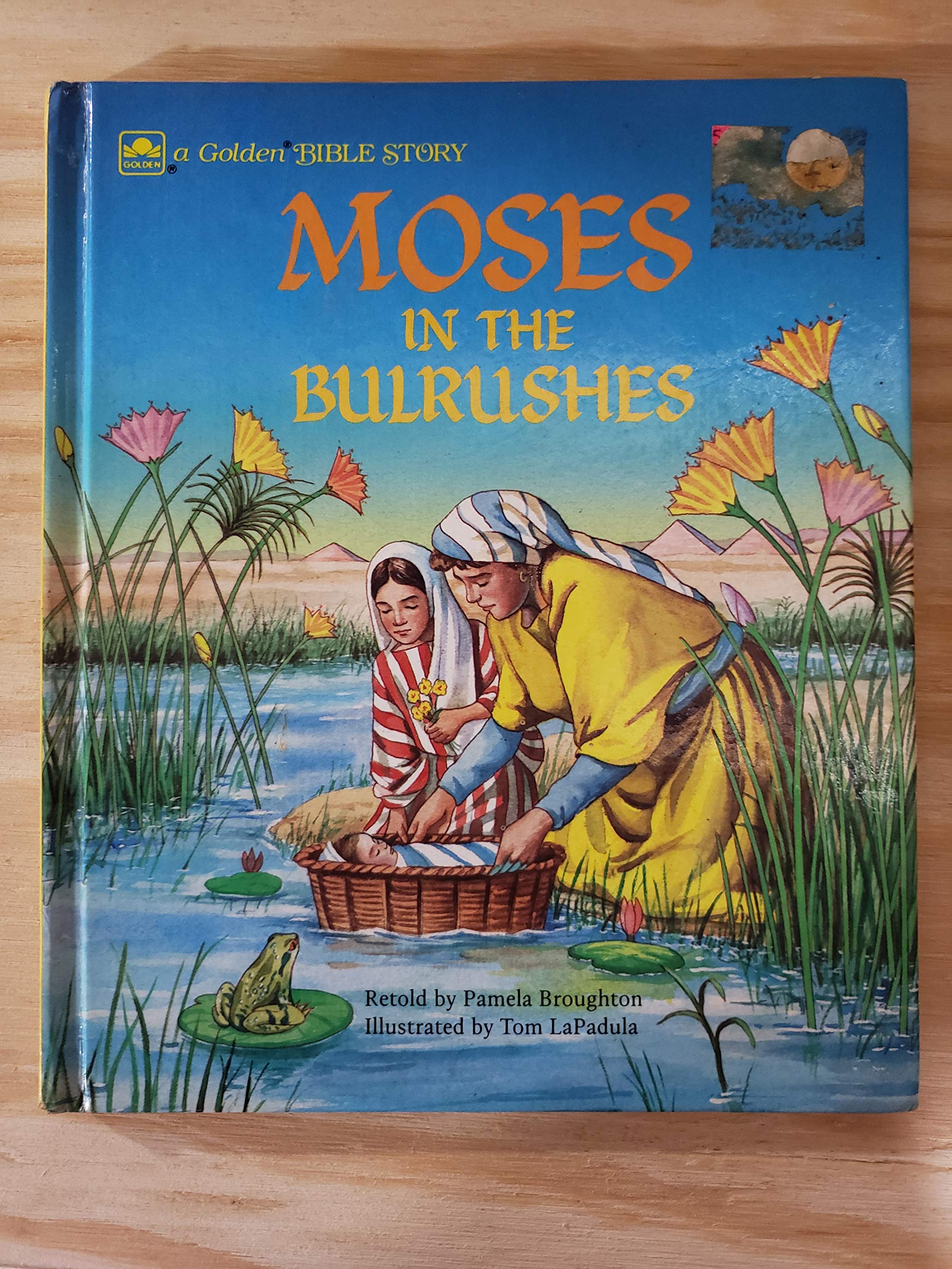 Moses in the bulrushes: Exodus 1:7-15:1 (A Golden Bible story) Books