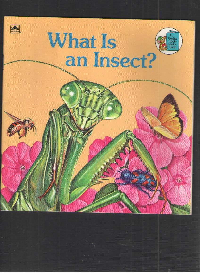 What Is an Insect? (Golden Look-Look Book) Books