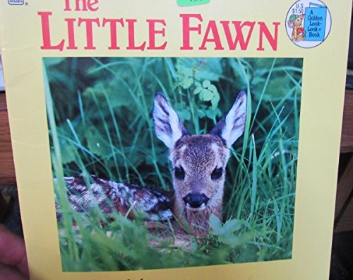 The Little Fawn (Golden Look-Look Books) Books