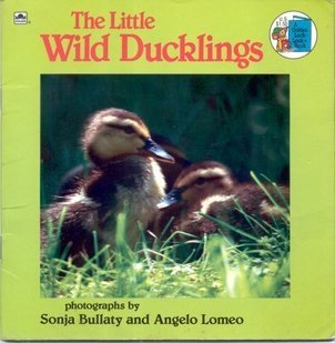 Little Wild Duckling Leisure, Home & Garden